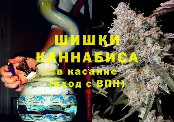 винт Алексин