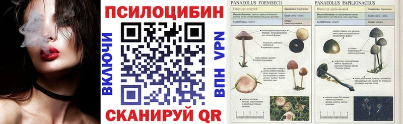 купить наркотики сайты  Льгов  blacksprut зеркало  маркетплейс телеграм  Псилоцибиновые грибы мухоморы 